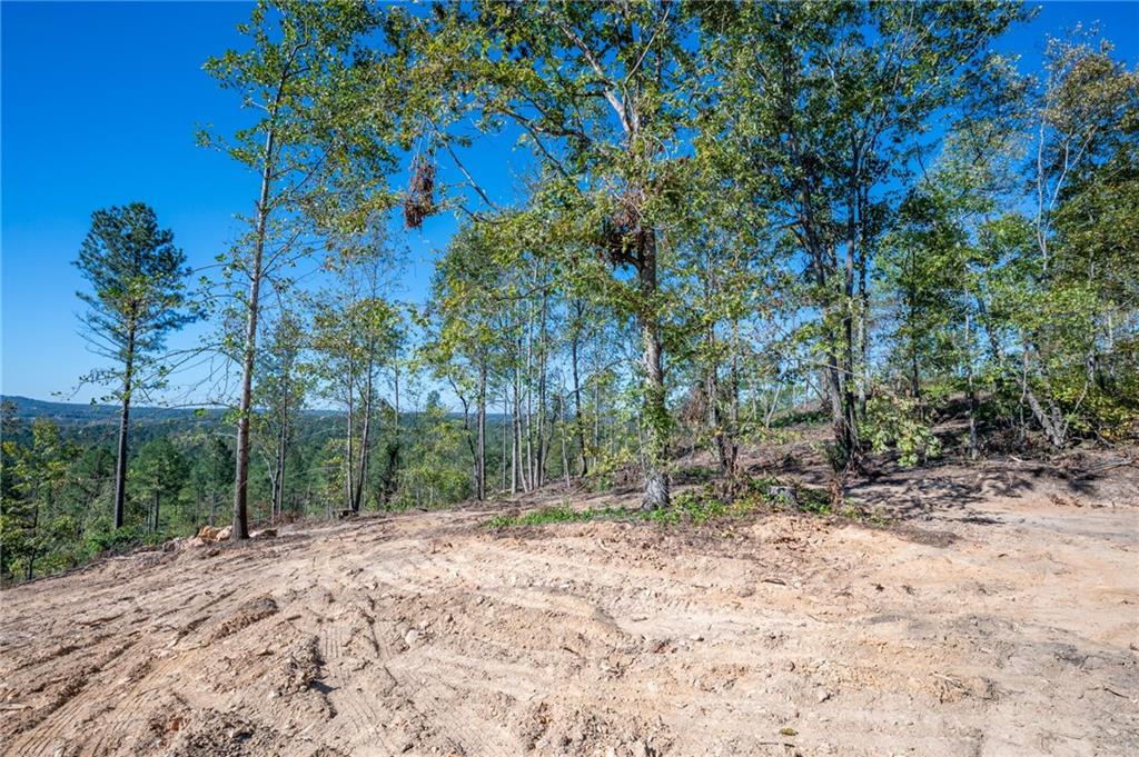 3883 Hwy 140 Ne Rydal Ga 30171 Northeast Rydal, GA 30171 - Photo 7 of 11