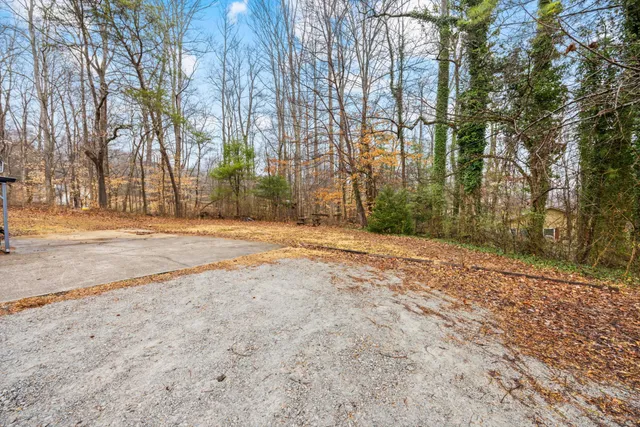 a view of road with trees