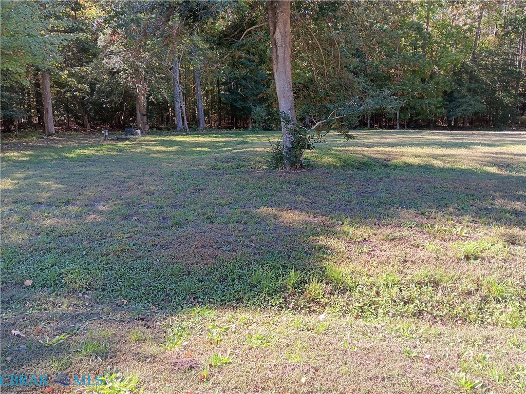 0 Cove Road Hayes, VA 23072 - Photo 2 of 3 View of grassy yard