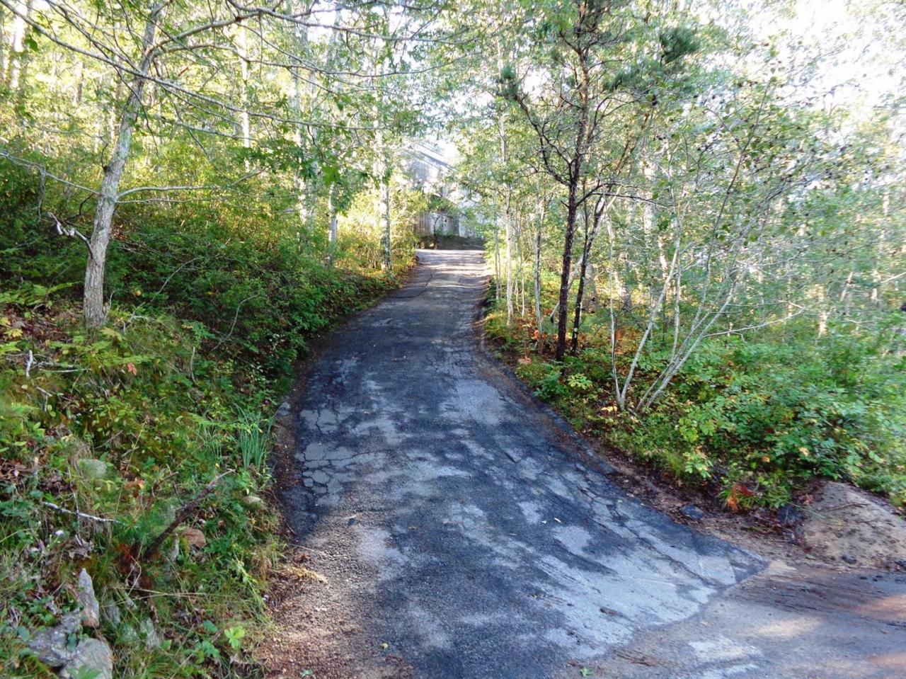 200 Gull Pond Road Wellfleet, MA 02667 - Photo 34 of 35 a big yard with flowing stream of water in middle