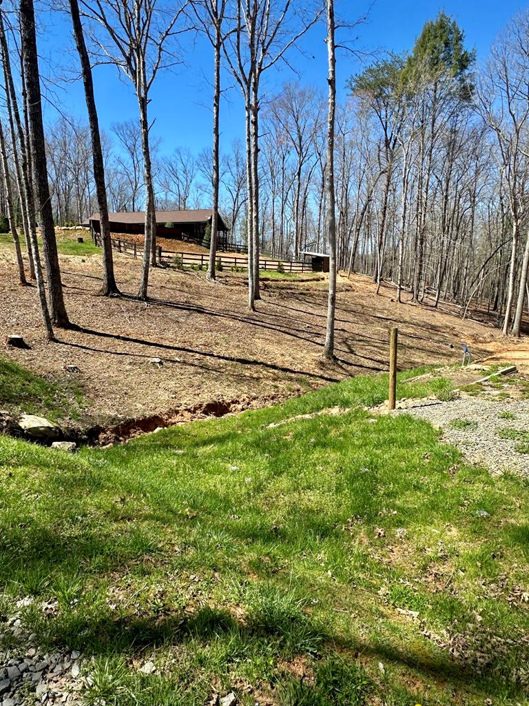 554 Tipton Springs Road Morganton, GA 30560 - Photo 46 of 74