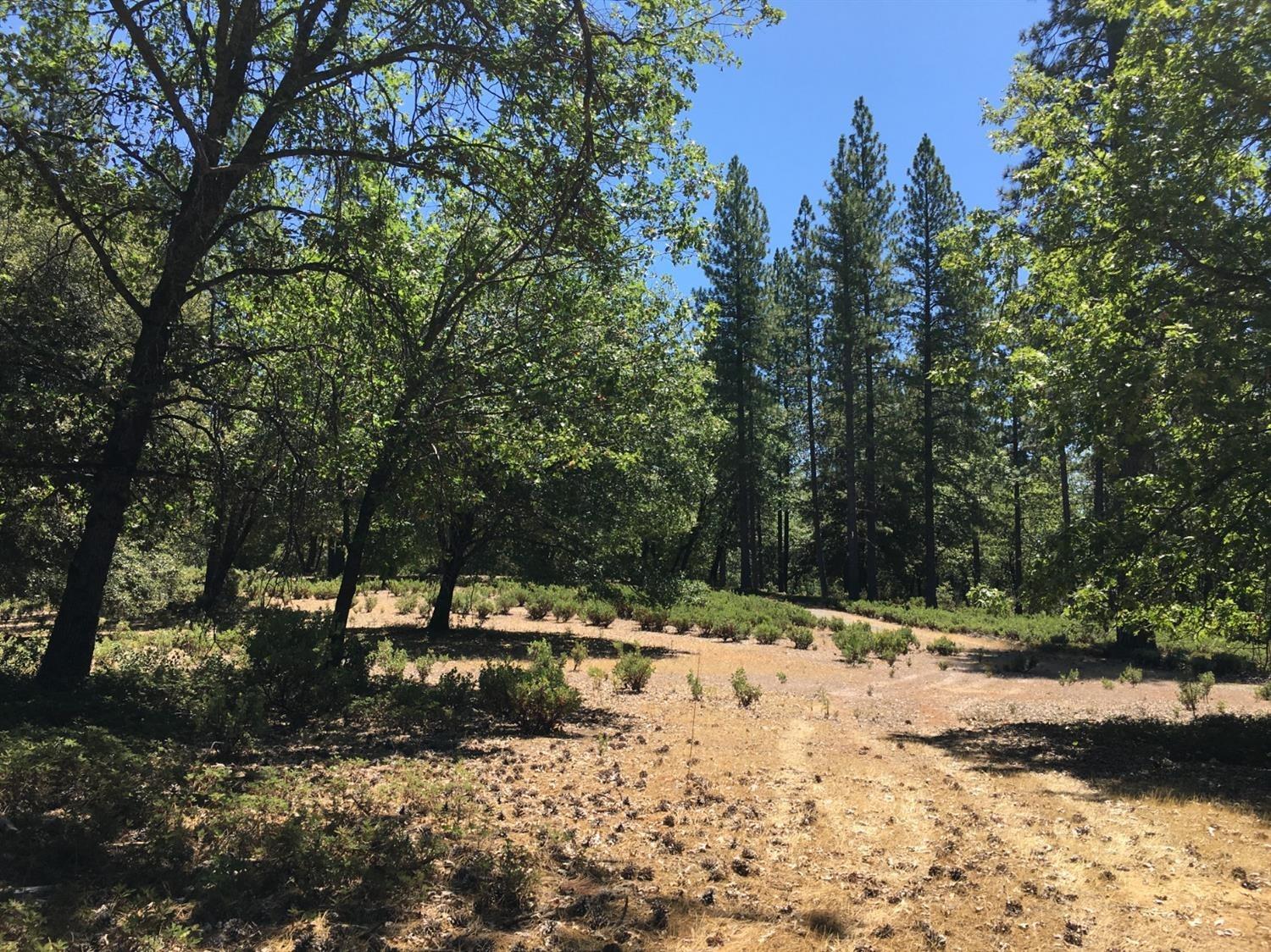 0 Ridge Road Mokelumne Hill, CA 95248 - Photo 12 of 14