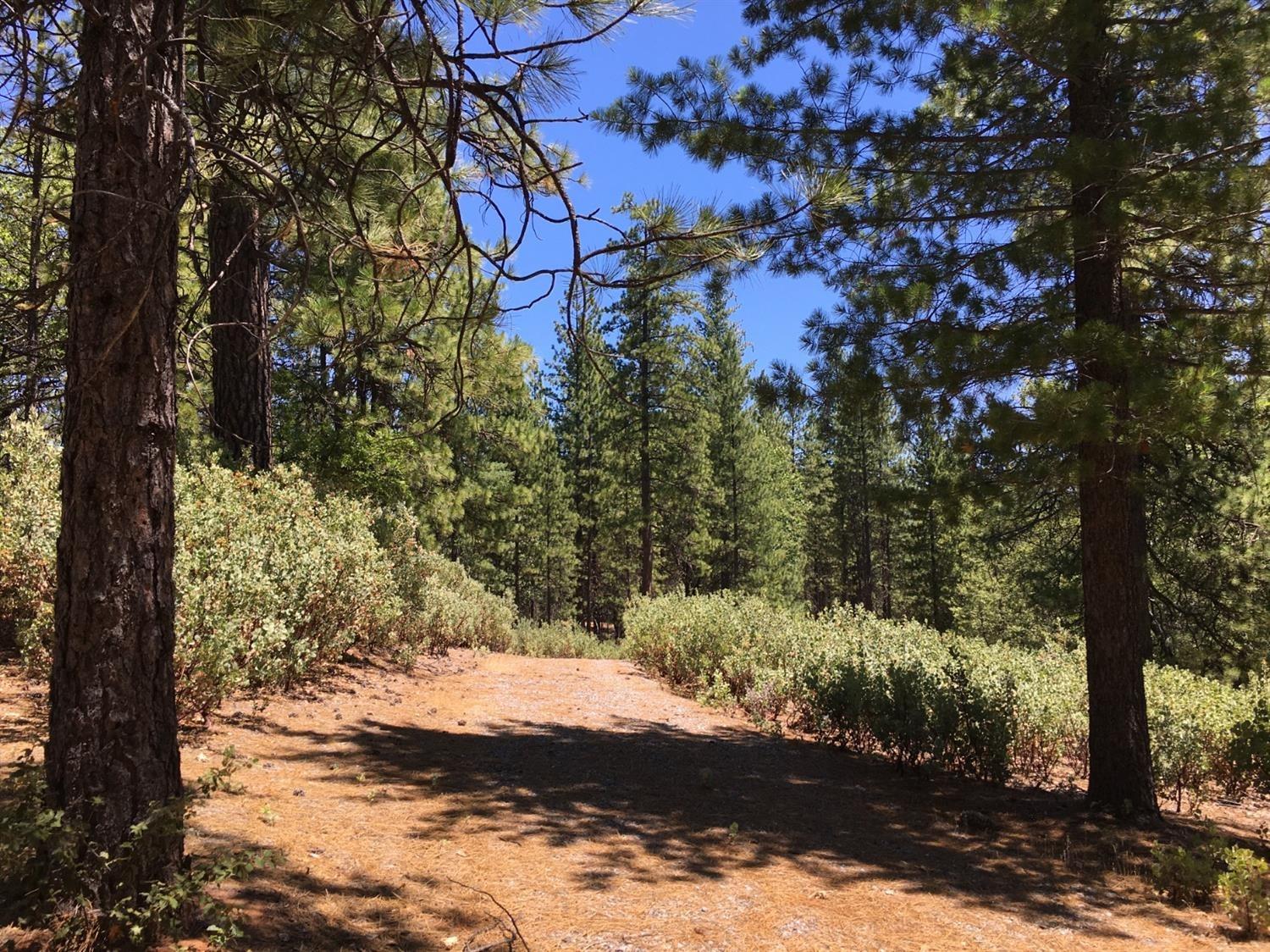 0 Ridge Road Mokelumne Hill, CA 95248 - Photo 5 of 14