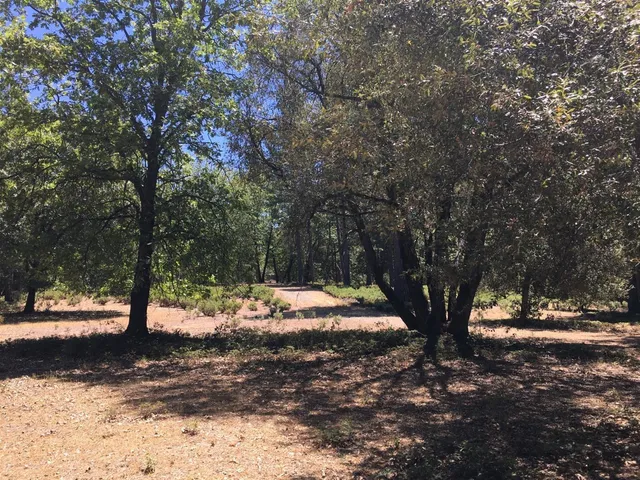 $125,000 | 0 Ridge Road, Mokelumne Hill, CA 95248