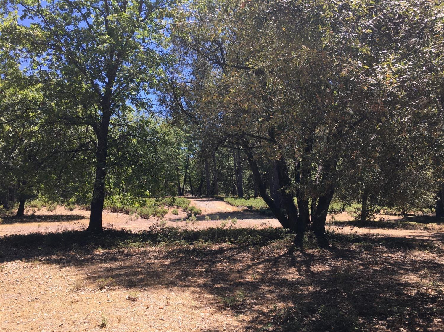 0 Ridge Road Mokelumne Hill, CA 95248 - Photo 10 of 14