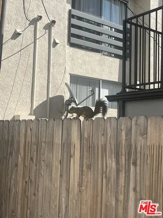 $4,477 | 246 North Dillon Street, Unit 248, Los Angeles, CA 90026