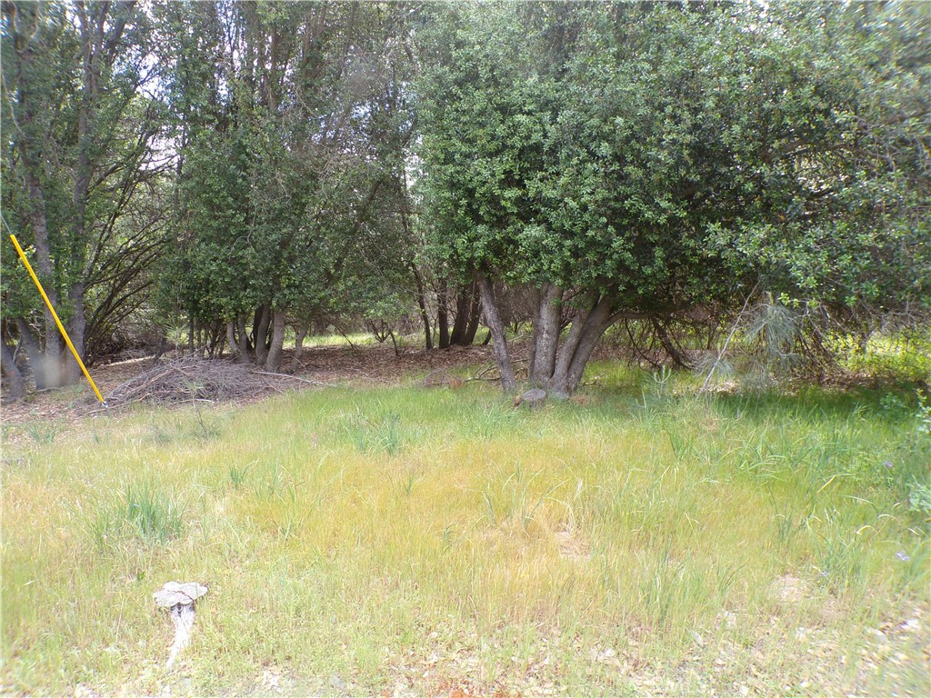 a view of swimming pool with a yard