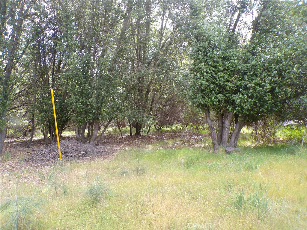 17472 Cache Creek Road Clearlake Oaks, CA 95423 - Photo 2 of 4 a view of a yard with swimming pool