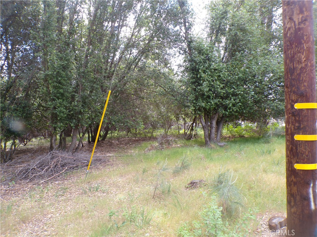 17472 Cache Creek Road Clearlake Oaks, CA 95423 - Photo 3 of 4 a view of a yard with a tree