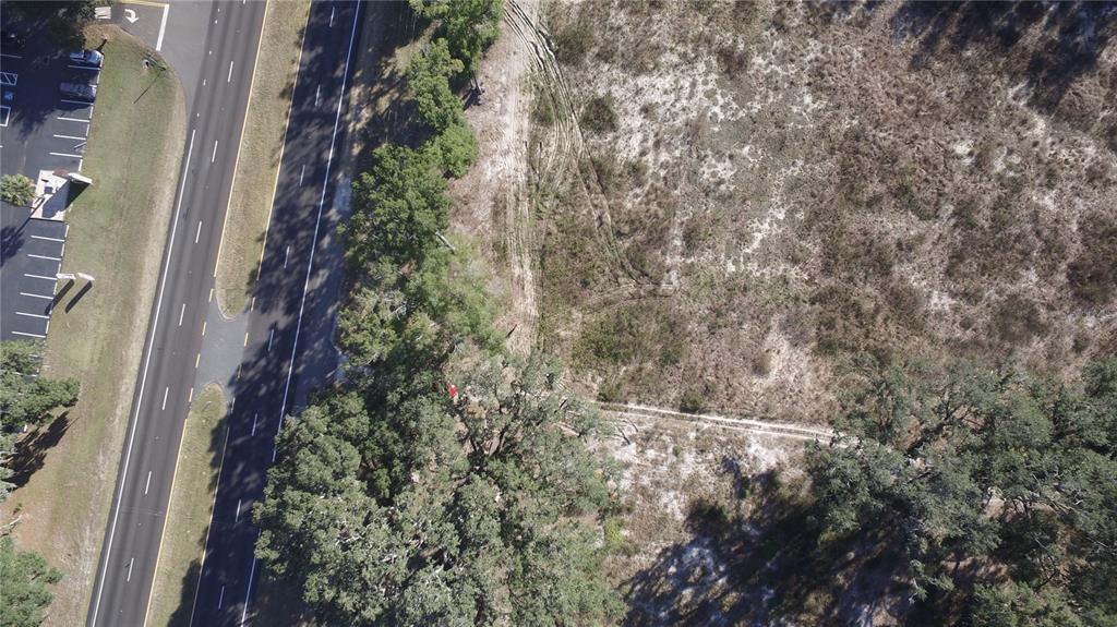 301 Tbd Citra, FL 32113 - Photo 13 of 34