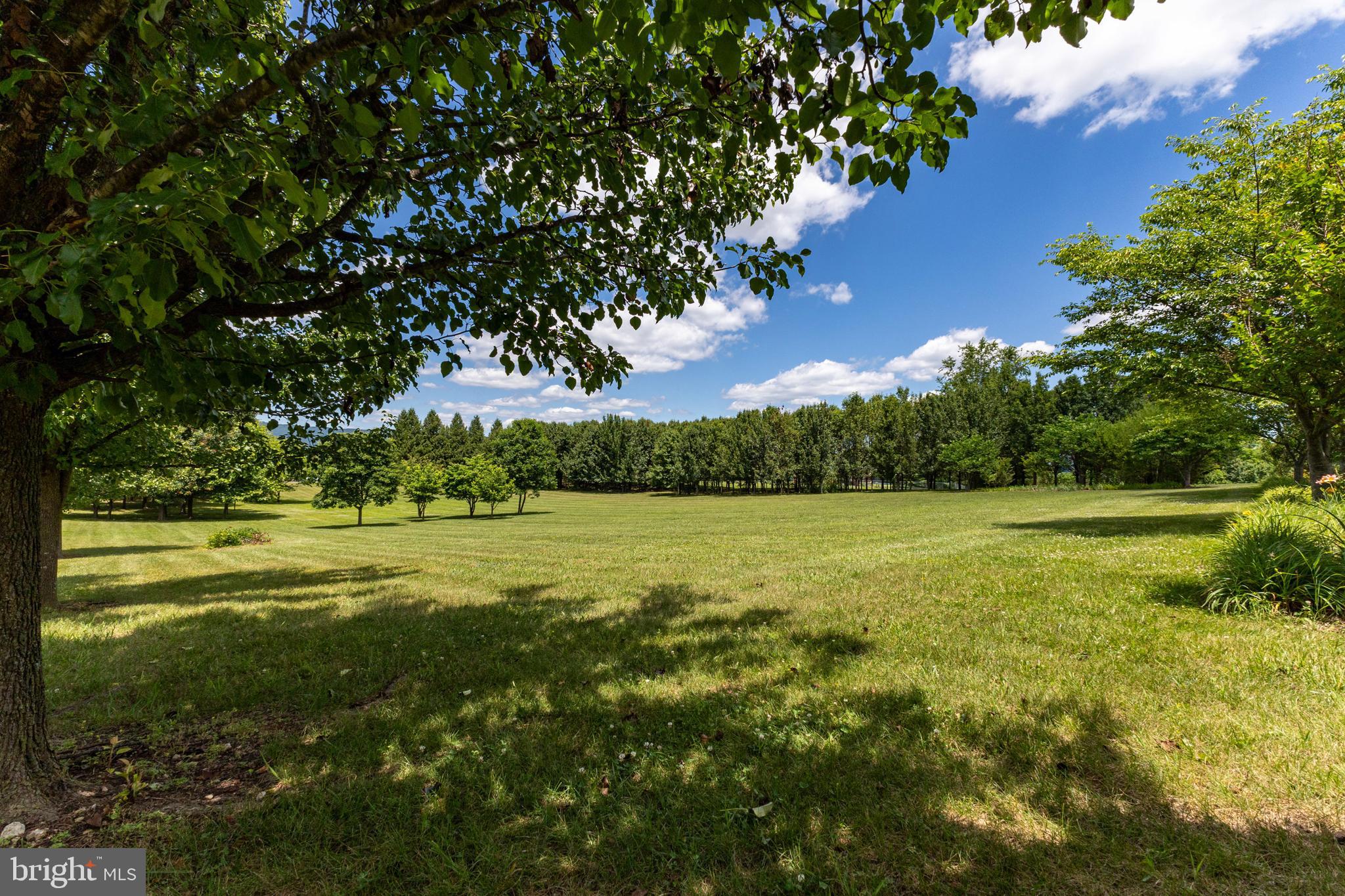 825 Parkview Estates Road Luray, VA 22835 - Photo 22 of 31
