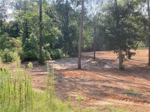 0 Amelia Drive Boyce, LA 71409 - Photo 1 of 2