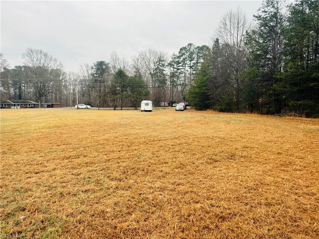0 Naomi Road Randleman, NC 27317 - Photo 1 of 5
