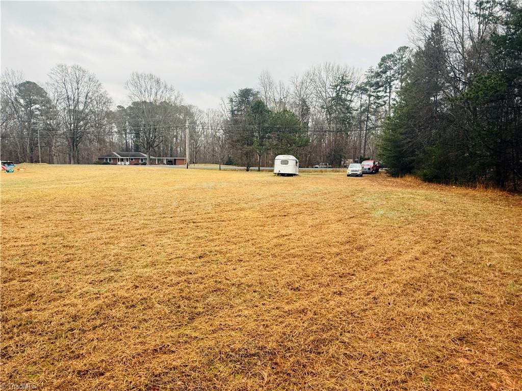 0 Naomi Road Randleman, NC 27317 - Photo 4 of 5