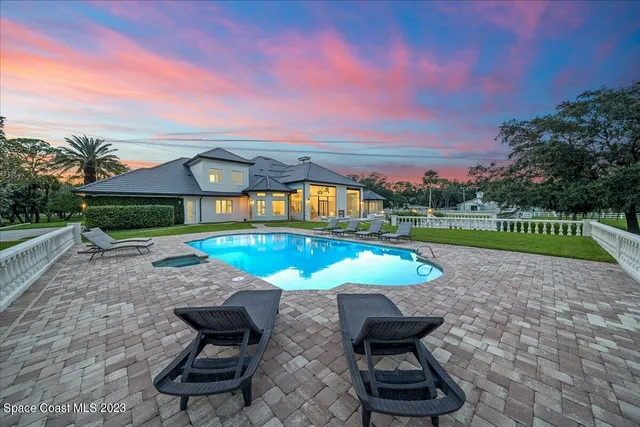a potted plant in front of a door