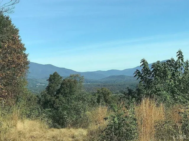 a view of a mountain range with trees in the background