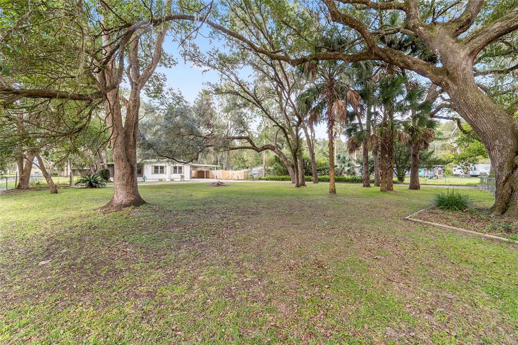 18395 Northwest 4th Terrace Citra, FL 32113 - Photo 59 of 66 a view of a yard with tree s