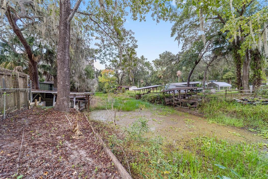 18395 Northwest 4th Terrace Citra, FL 32113 - Photo 63 of 66 a view of backyard with table and chairs plants and trees