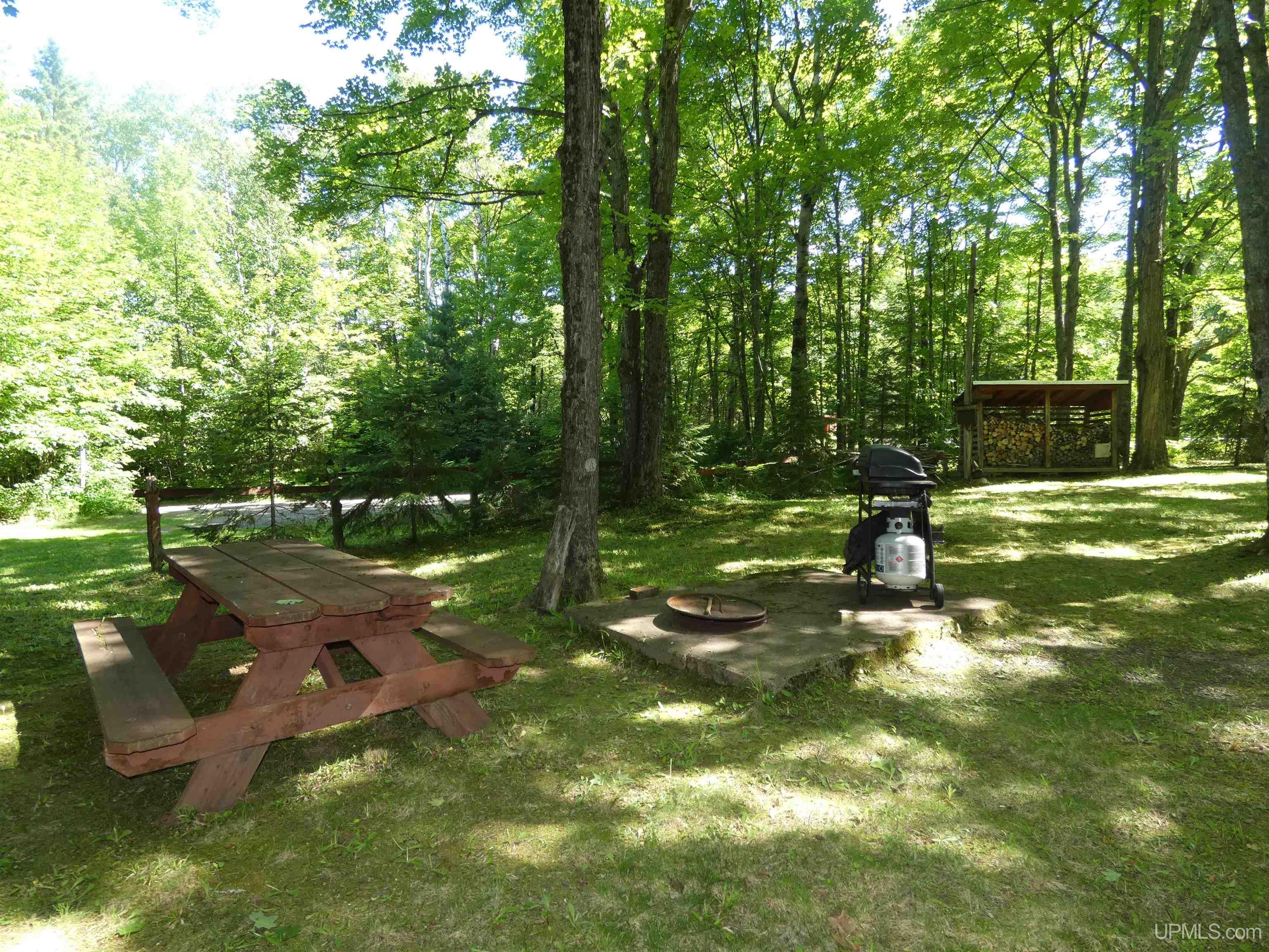 5745 Calderwood Road Trout Creek, MI 49967 - Photo 9 of 23