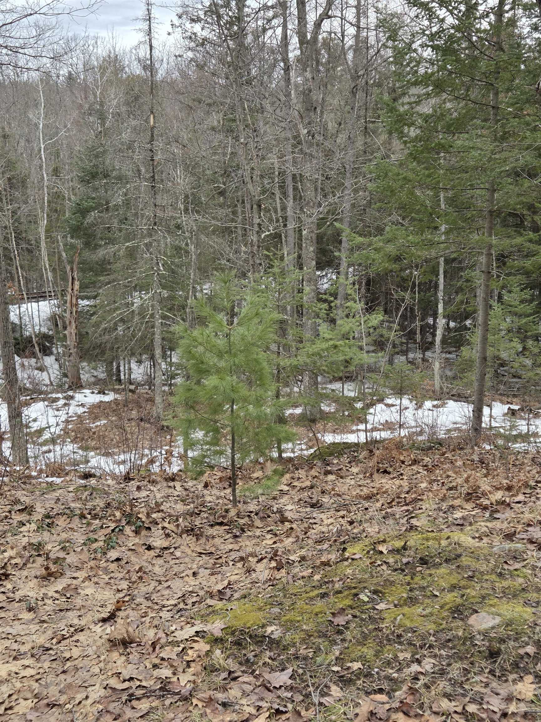 N14181 Highway 141 Amberg, WI 54102 - Photo 38 of 51