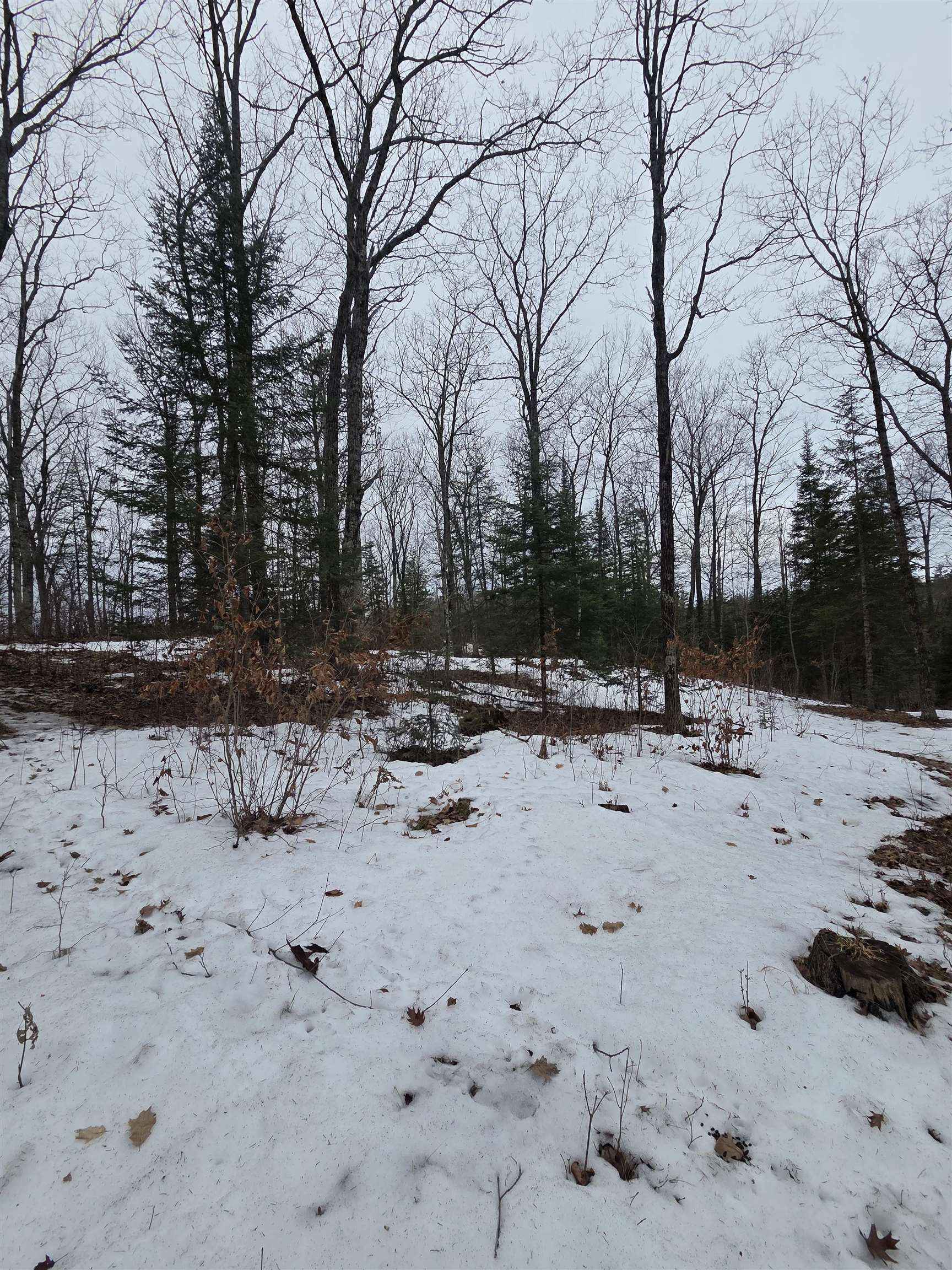 N14181 Highway 141 Amberg, WI 54102 - Photo 40 of 51