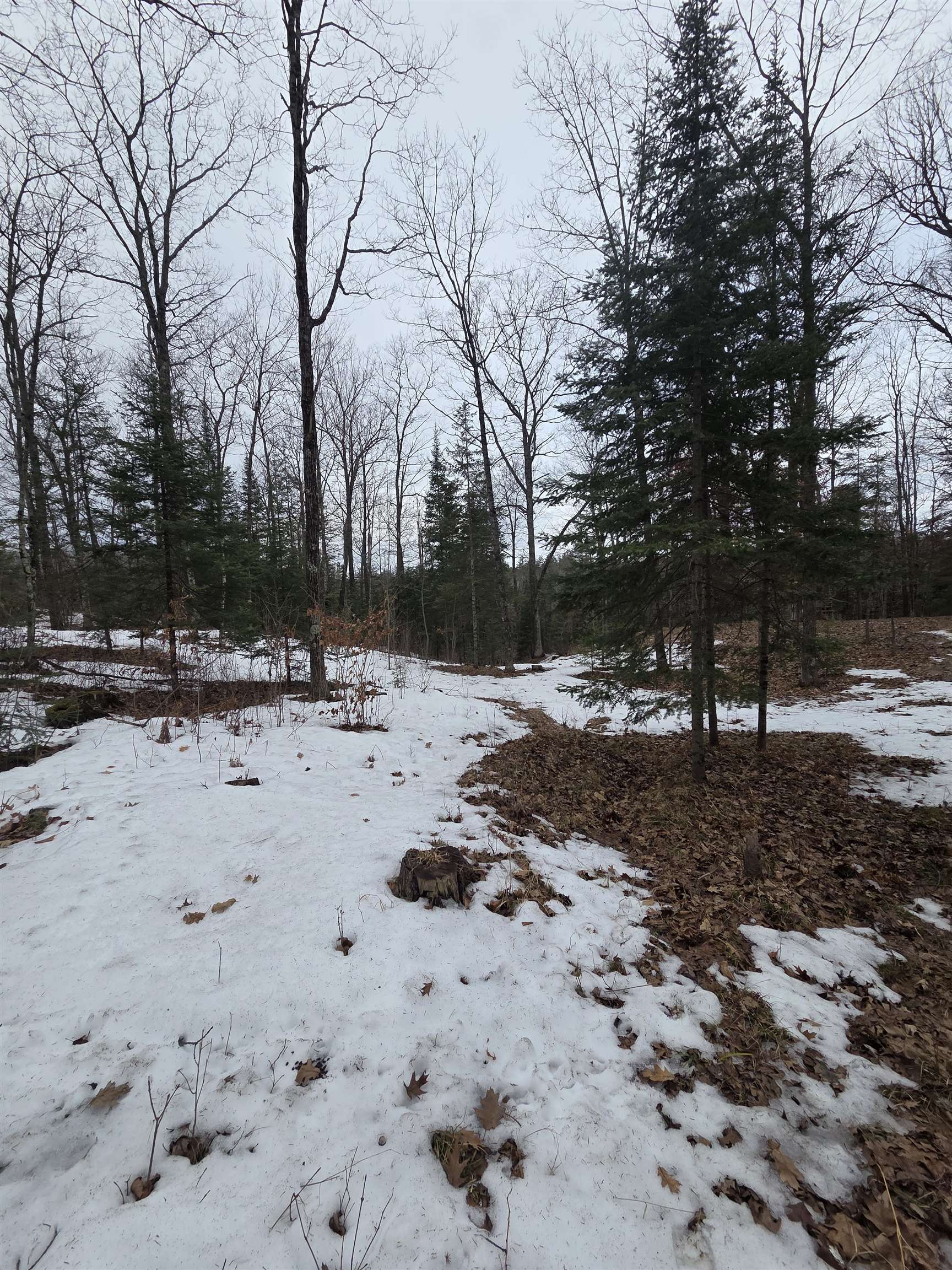 N14181 Highway 141 Amberg, WI 54102 - Photo 41 of 51