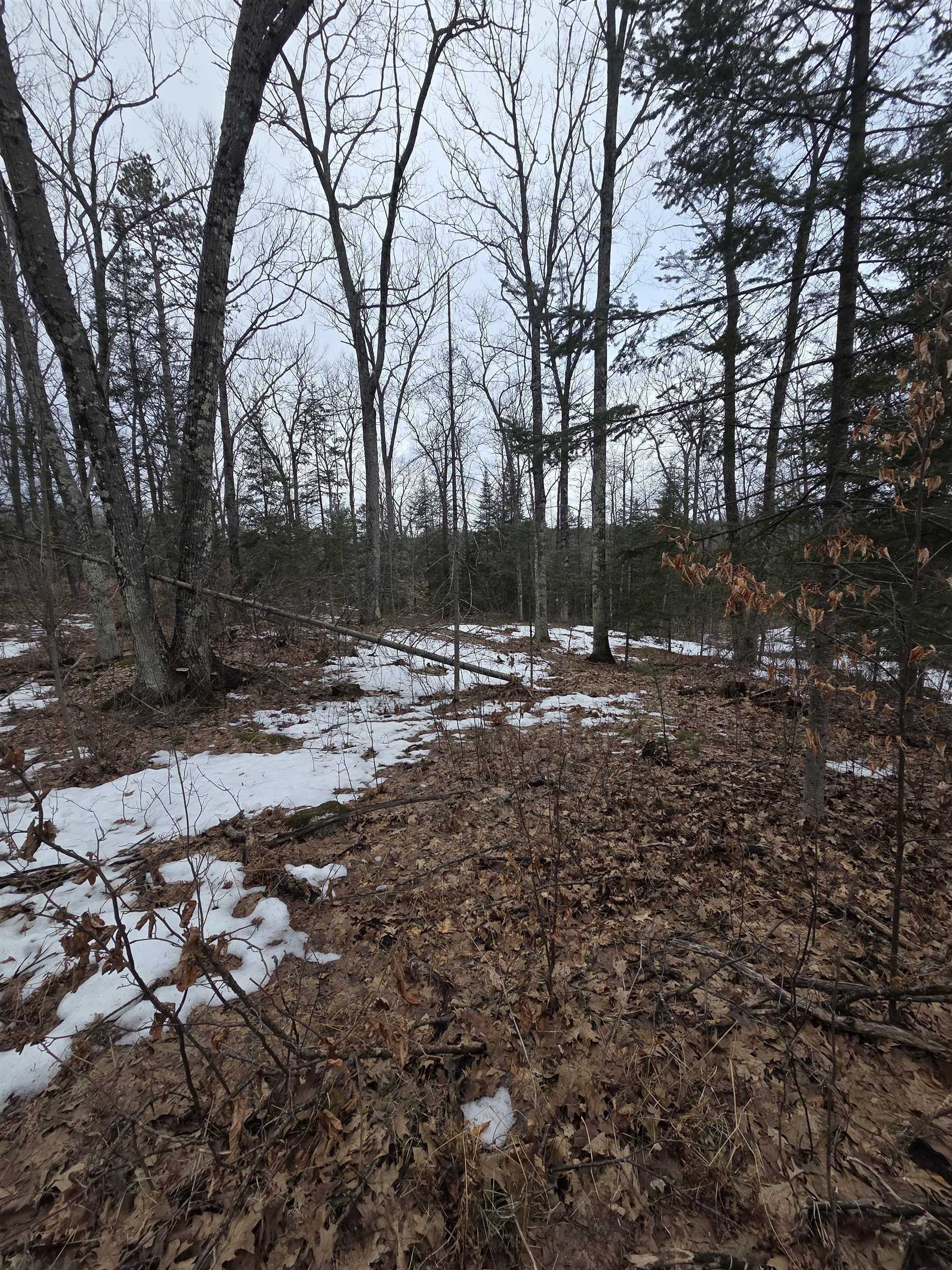 N14181 Highway 141 Amberg, WI 54102 - Photo 44 of 51