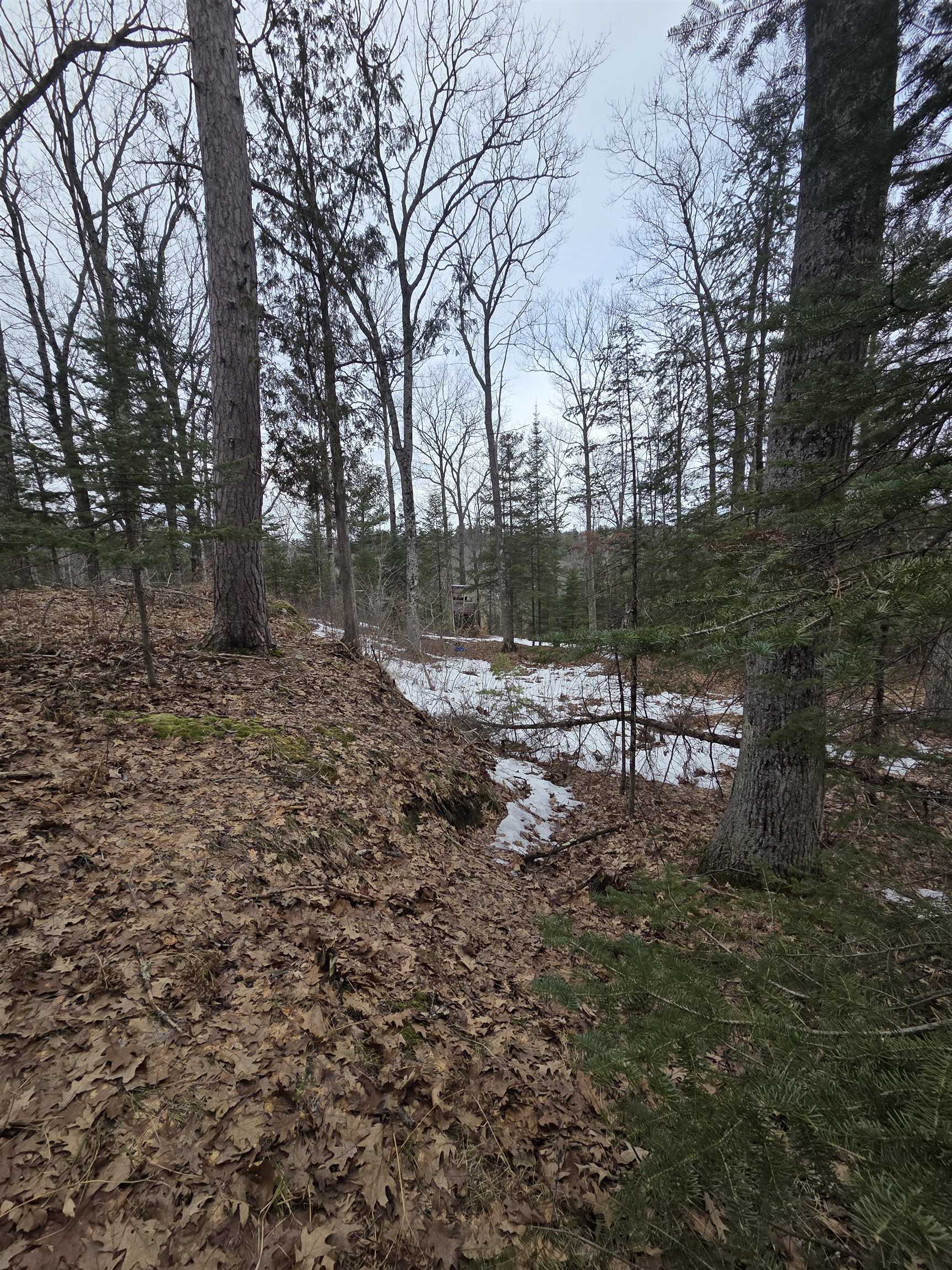 N14181 Highway 141 Amberg, WI 54102 - Photo 45 of 51