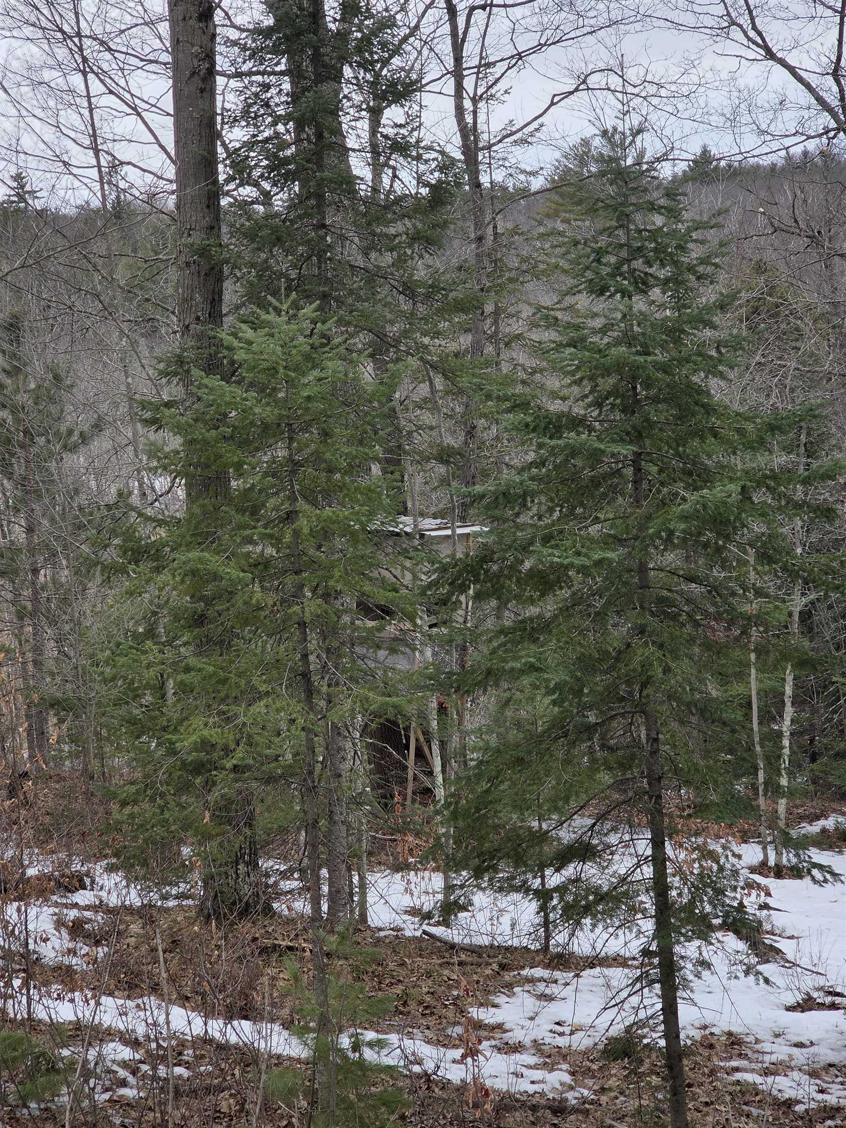 N14181 Highway 141 Amberg, WI 54102 - Photo 46 of 51