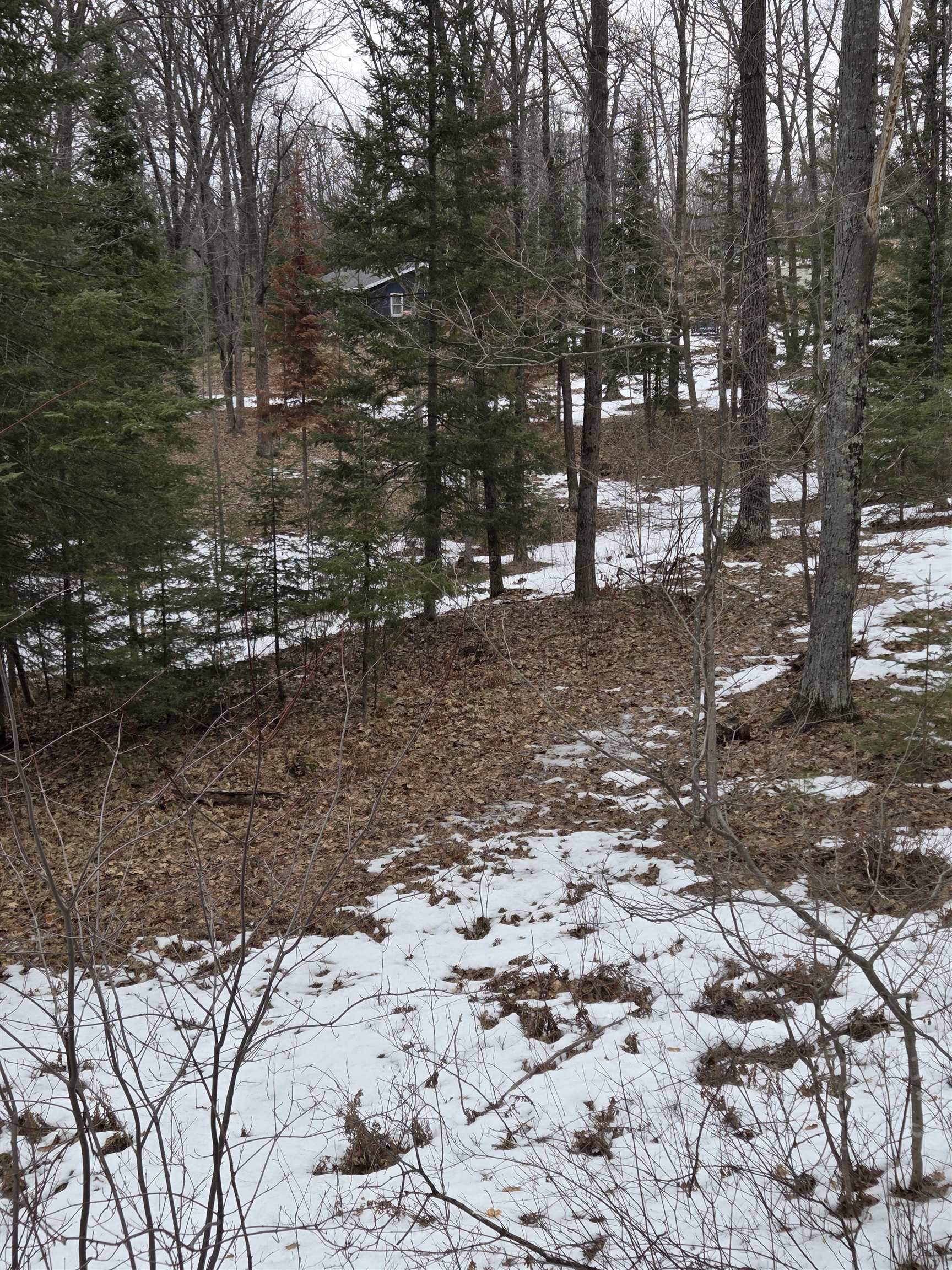 N14181 Highway 141 Amberg, WI 54102 - Photo 47 of 51