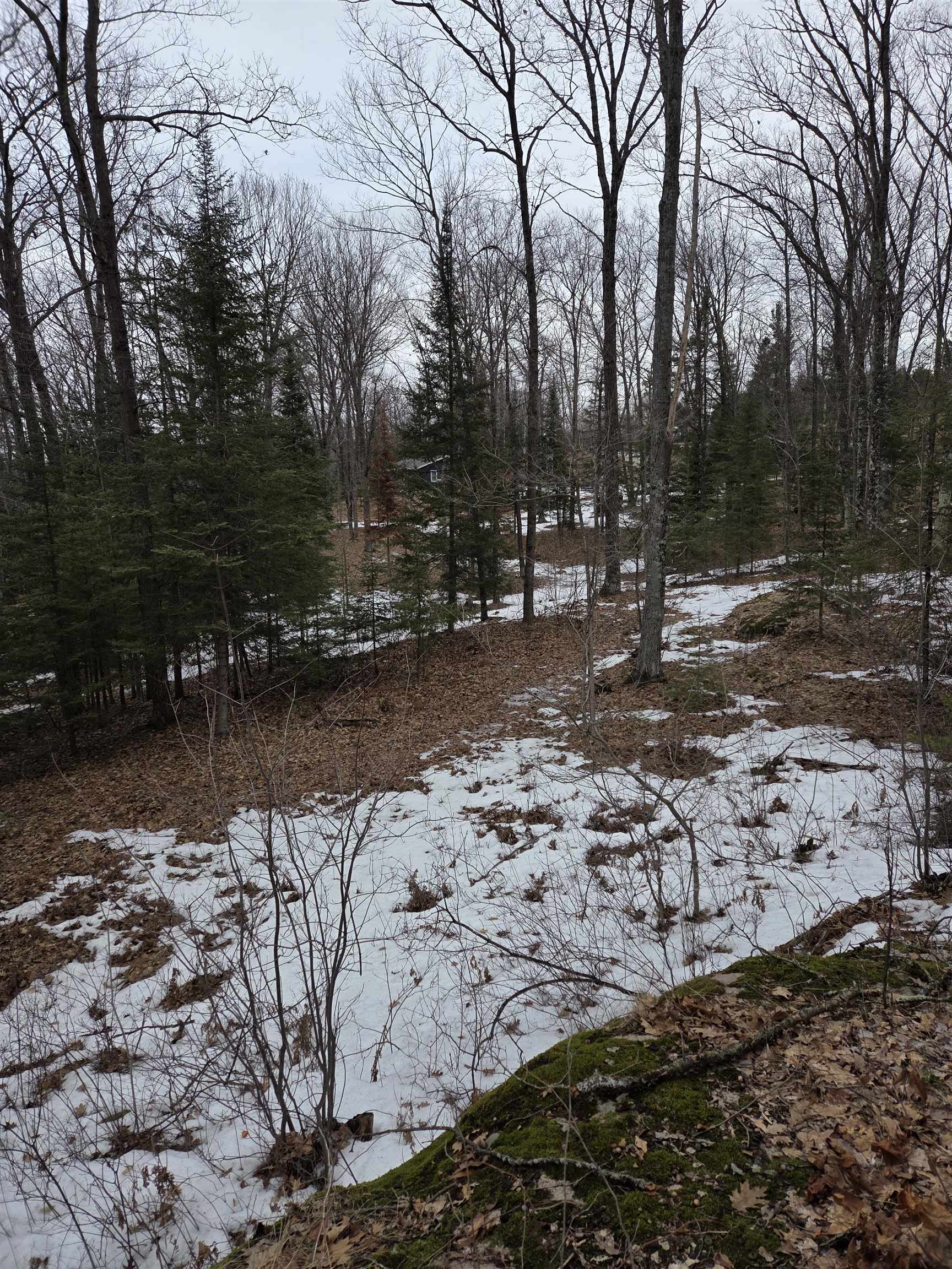 N14181 Highway 141 Amberg, WI 54102 - Photo 48 of 51