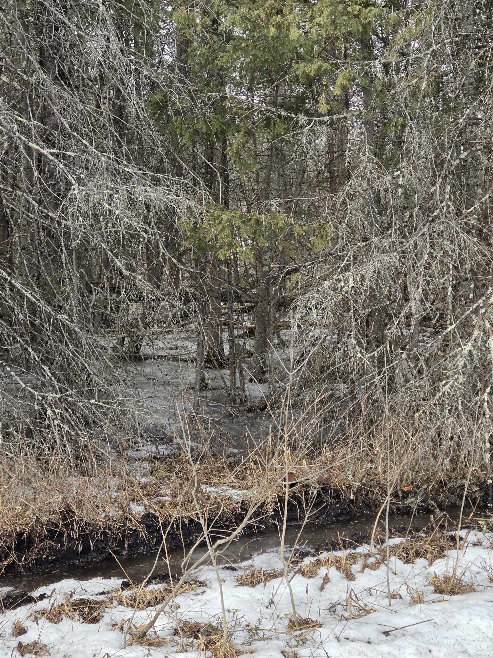 N14181 Highway 141 Amberg, WI 54102 - Photo 50 of 51