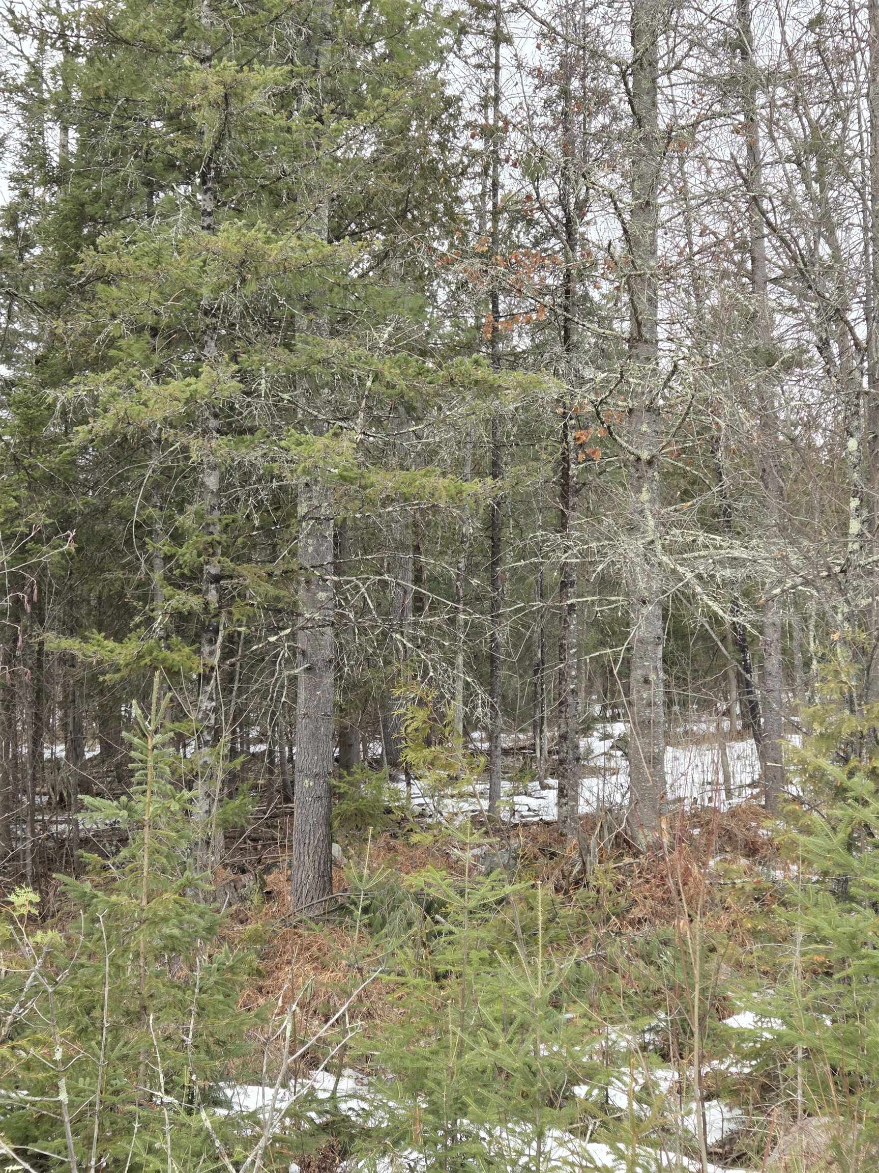 N14181 Highway 141 Amberg, WI 54102 - Photo 51 of 51