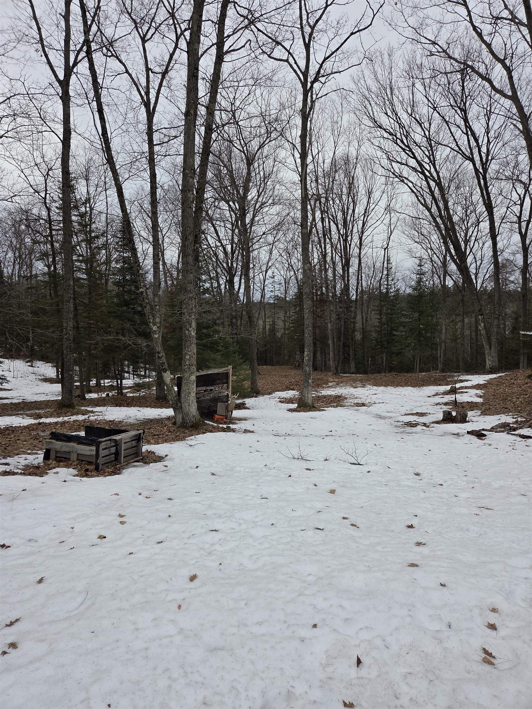 N14181 Highway 141 Amberg, WI 54102 - Photo 7 of 51