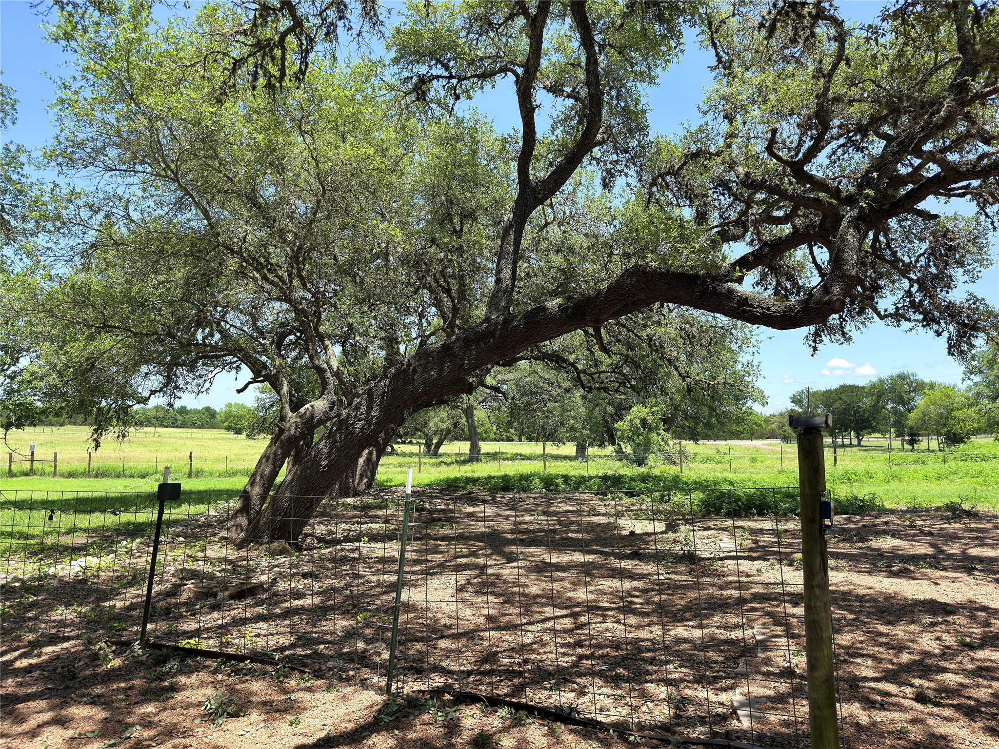 5030 Frenzel Road Round Top, TX 78954 - Photo 10 of 13