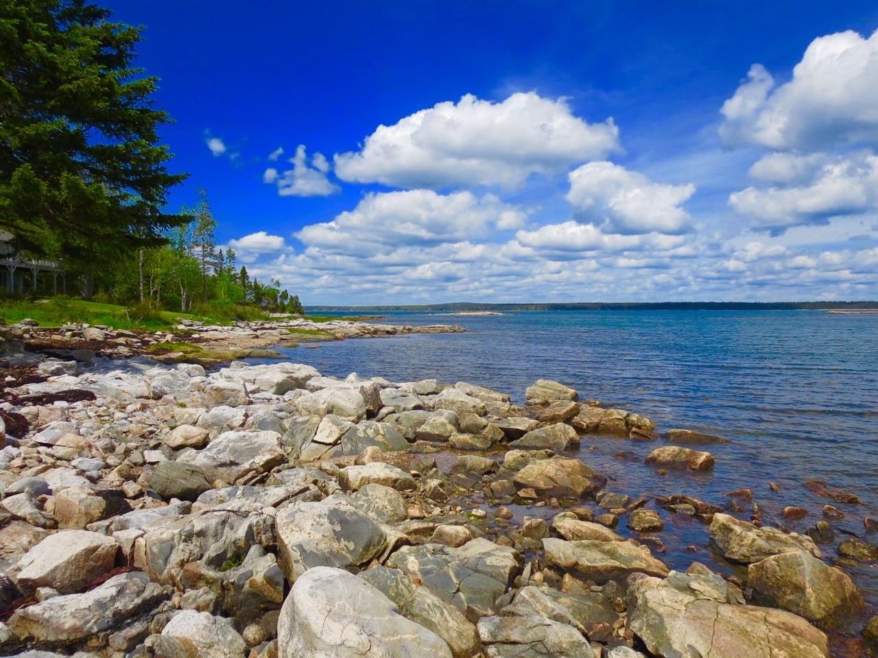 127 Paul Bunyan Road Corea, ME 04624 - Photo 35 of 46 Shoreline looking northeast.