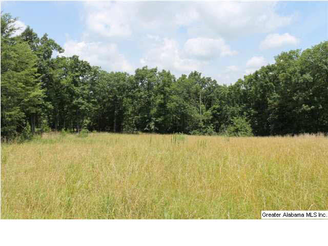 793 County Road, Unit 460 Centre, AL 35960 - Photo 8 of 11