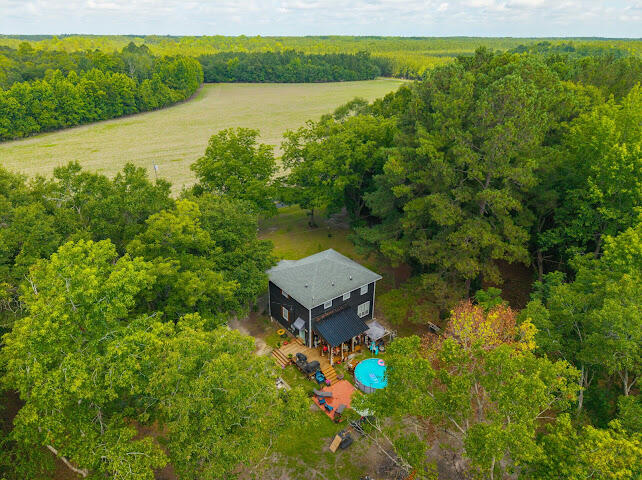 8019 South Brewington Road Manning, SC 29102 - Photo 2 of 34 Aerial