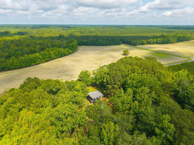 8019 South Brewington Road Manning, SC 29102 - Photo 31 of 34 Aerial