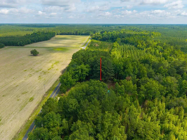 $239,900 | 8019 South Brewington Road, Manning, SC 29102