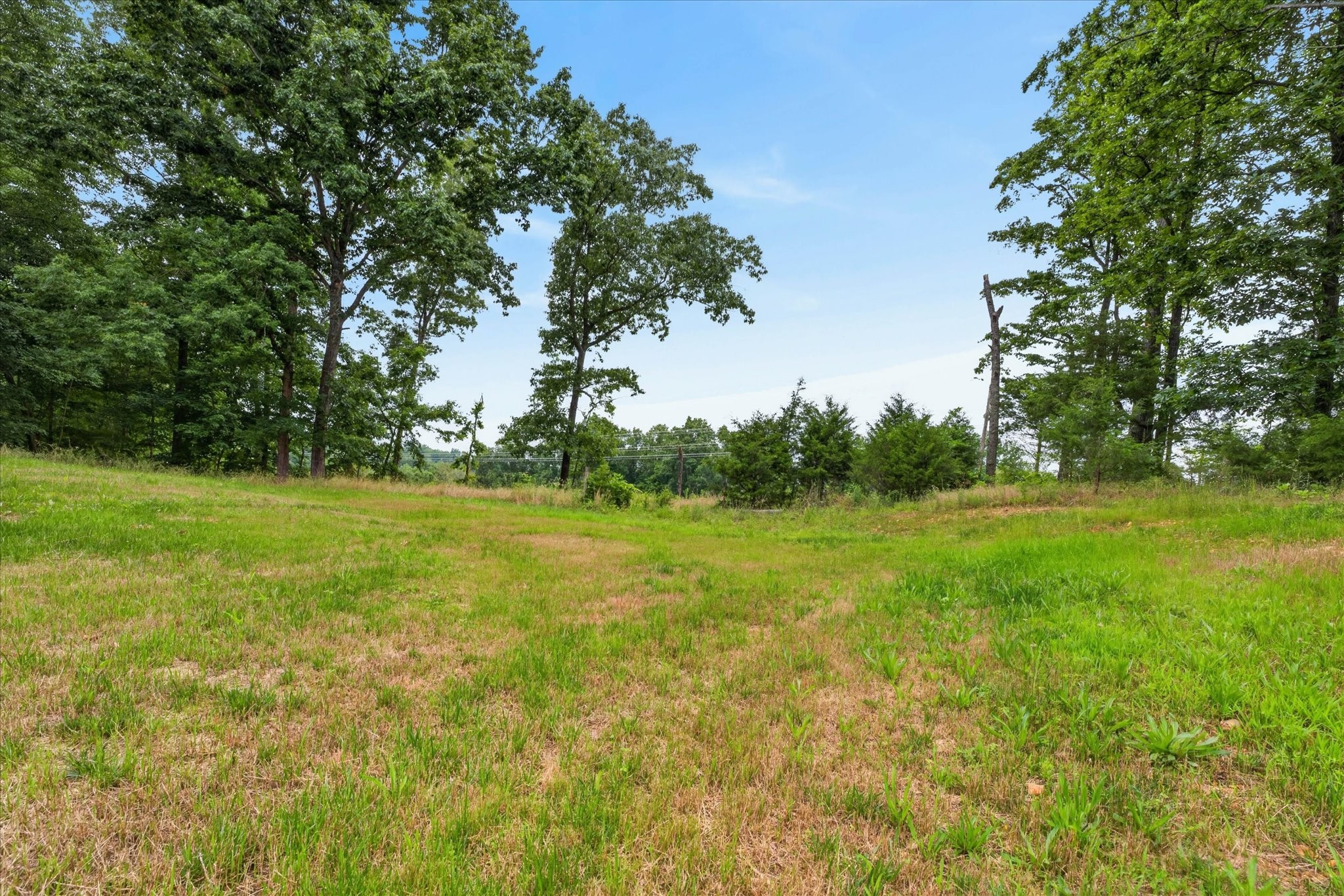 776 Norris Hollow Road Vanleer, TN 37181 - Photo 22 of 32