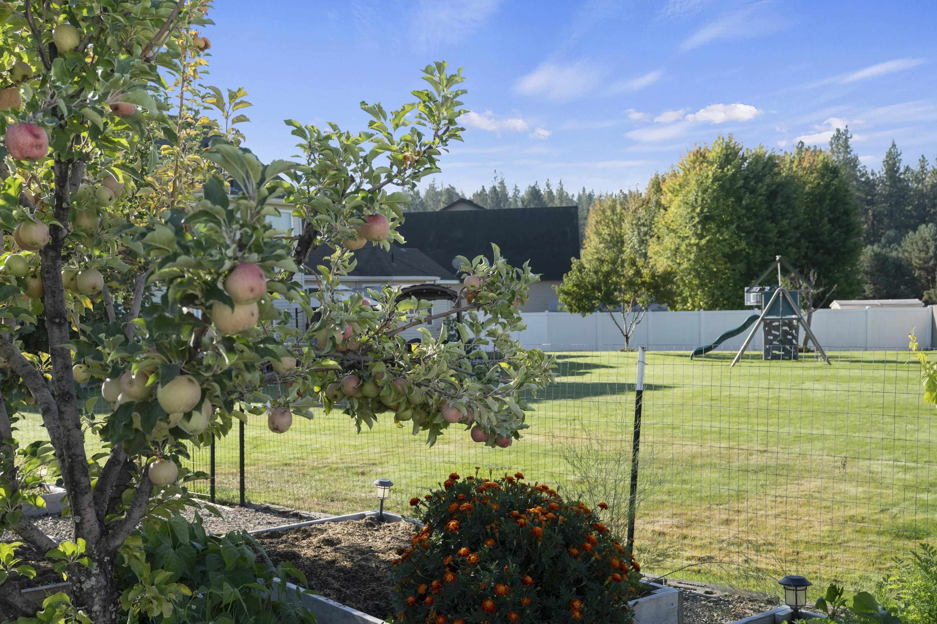 3908 South Virginia Lane Spokane Valley, WA 99206 - Photo 48 of 50
