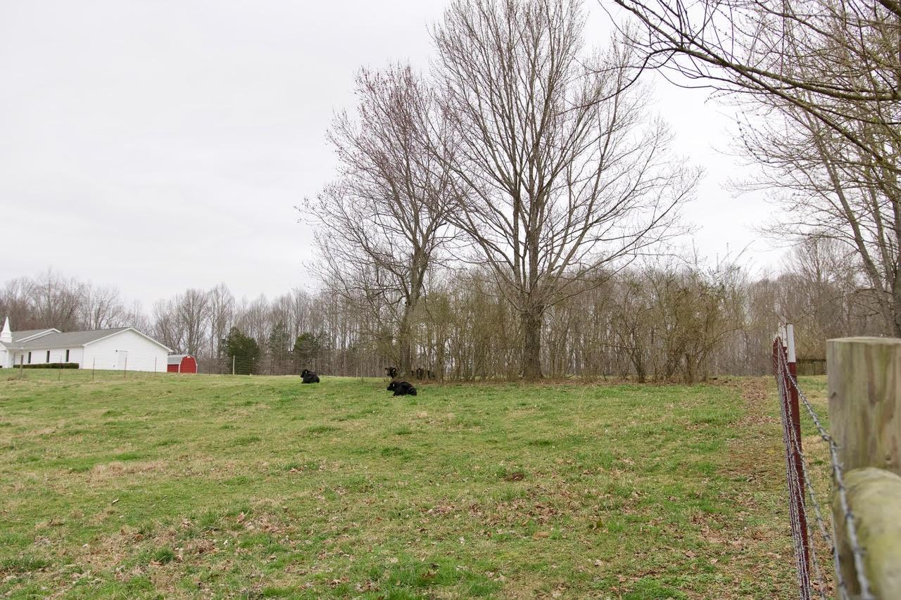 9115 Roberts Road Silver Point, TN 38582 - Photo 27 of 27