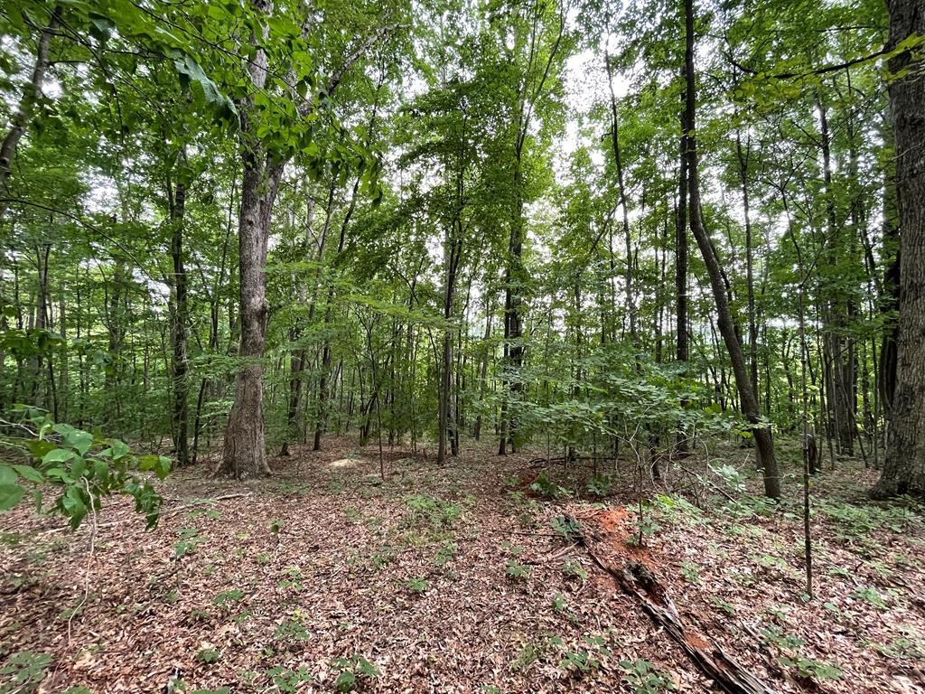 0 Sauls Road Bluefield, WV 24701 - Photo 1 of 1 Gallery Image 1
