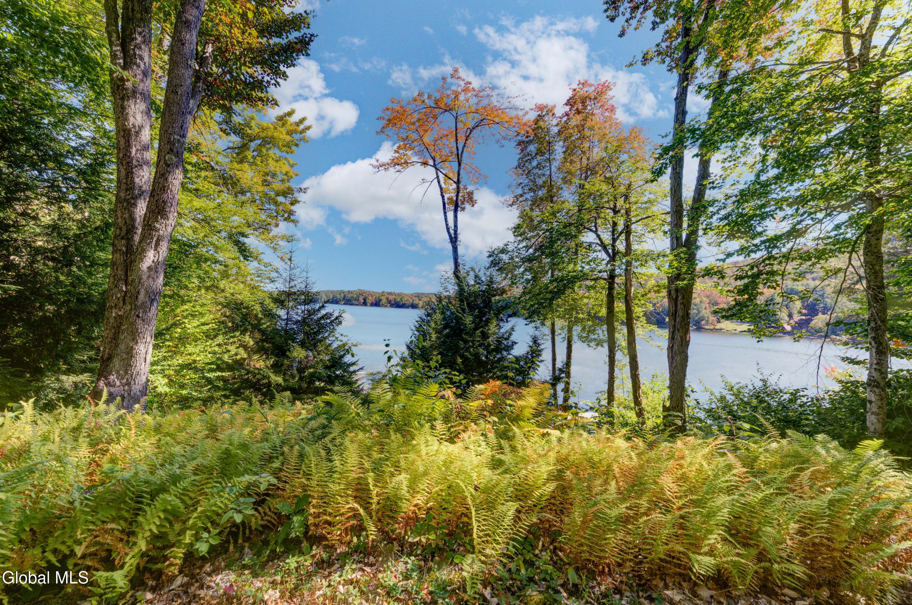 186 South Shore Road Lake Pleasant, NY 12108 - Photo 43 of 45 186 S Shore rd-3