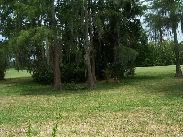 a view of outdoor space with trees all around