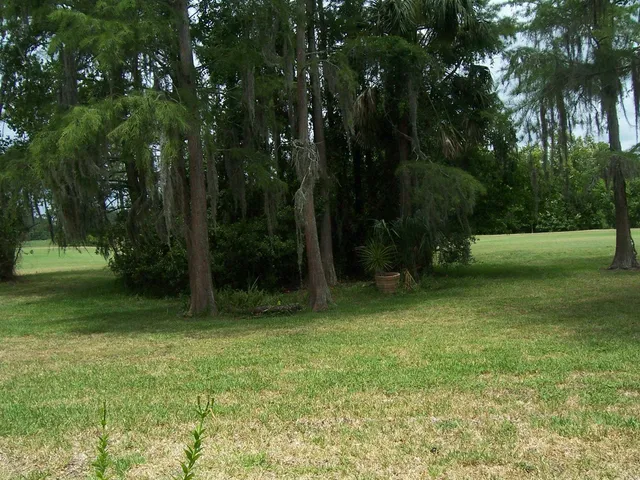 a view of outdoor space with trees all around