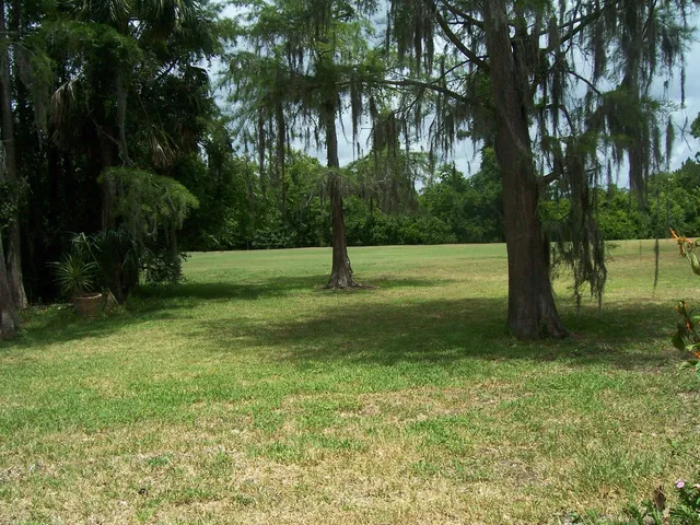 a view of an outdoor space and a yard