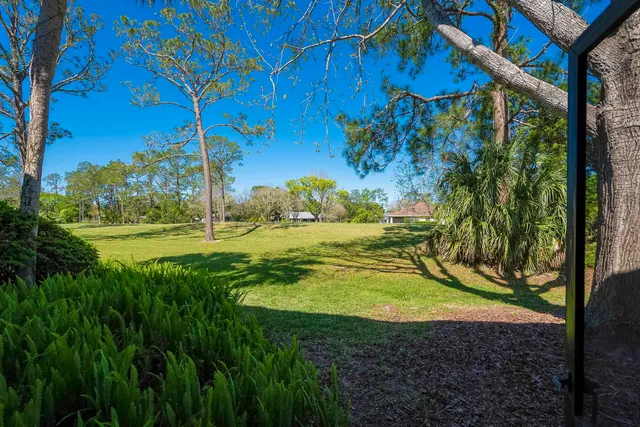 a view of an outdoor space