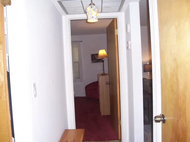 a view of a hallway with wooden floor and front door